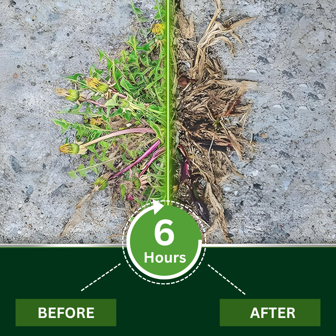 Weeds Keep Coming Back? AEXZR® 2 in 1 Max Power Herbicide Fixes the Root Problem