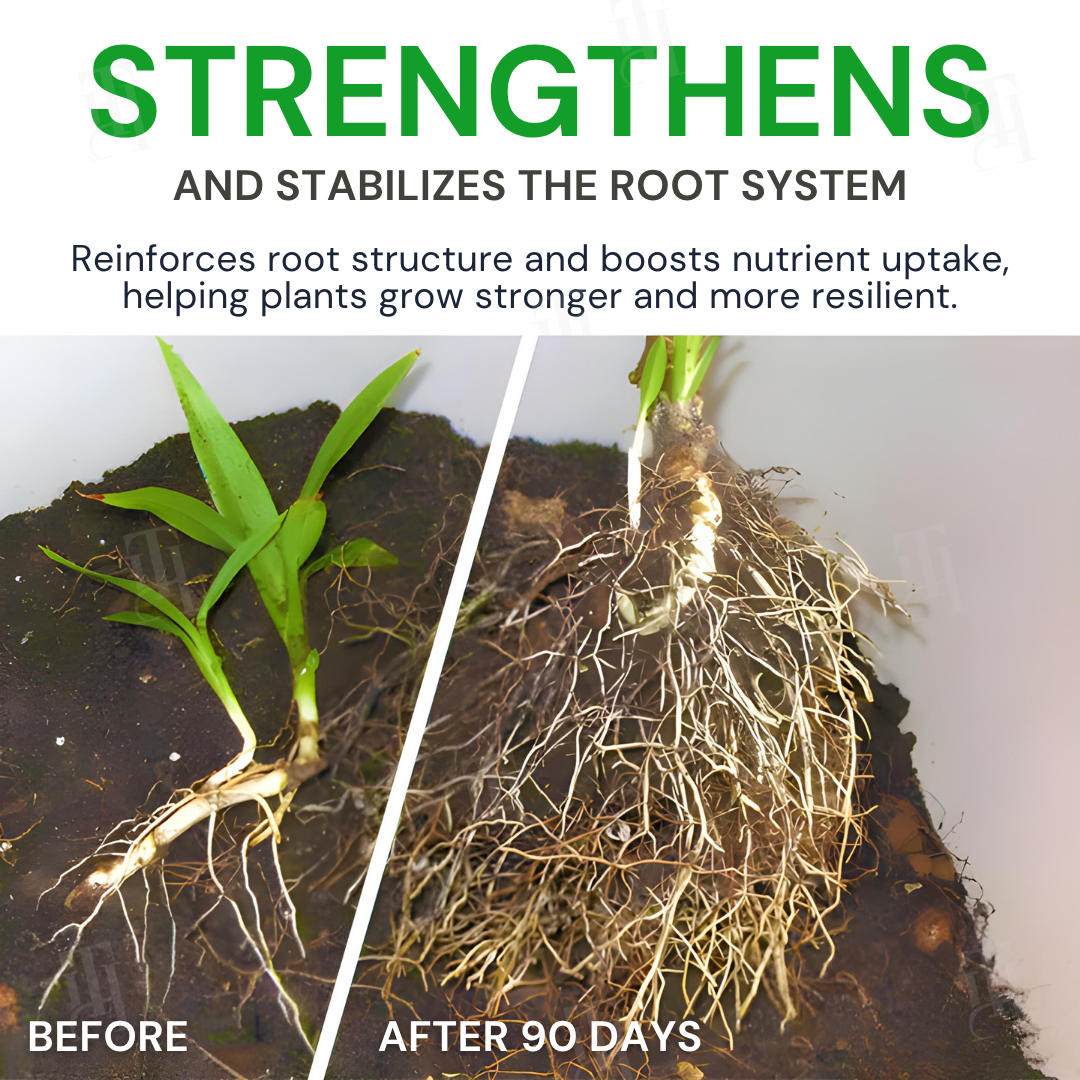 AEXZR® Max-Power Fulvic Acids Fertilizer Sticks