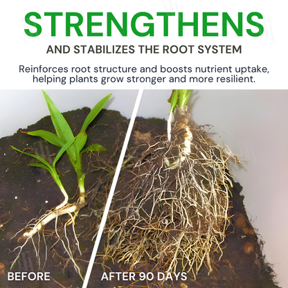 AEXZR® Max-Power Fulvic Acids Fertilizer Sticks