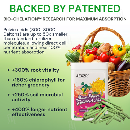 AEXZR® Max-Power Fulvic Acids Fertilizer Sticks