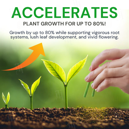 AEXZR® Max-Power Fulvic Acids Fertilizer Sticks