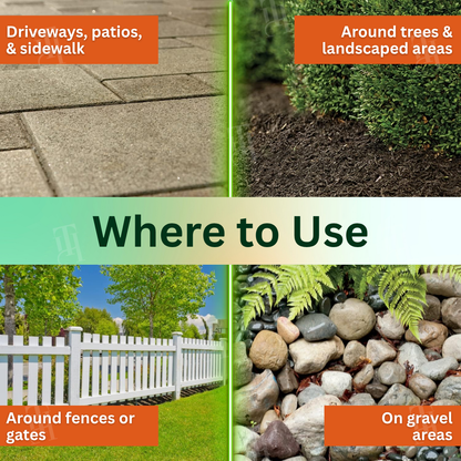 Weeds Keep Coming Back? AEXZR® 2 in 1 Max Power Herbicide Fixes the Root Problem